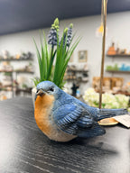 Blue Birds