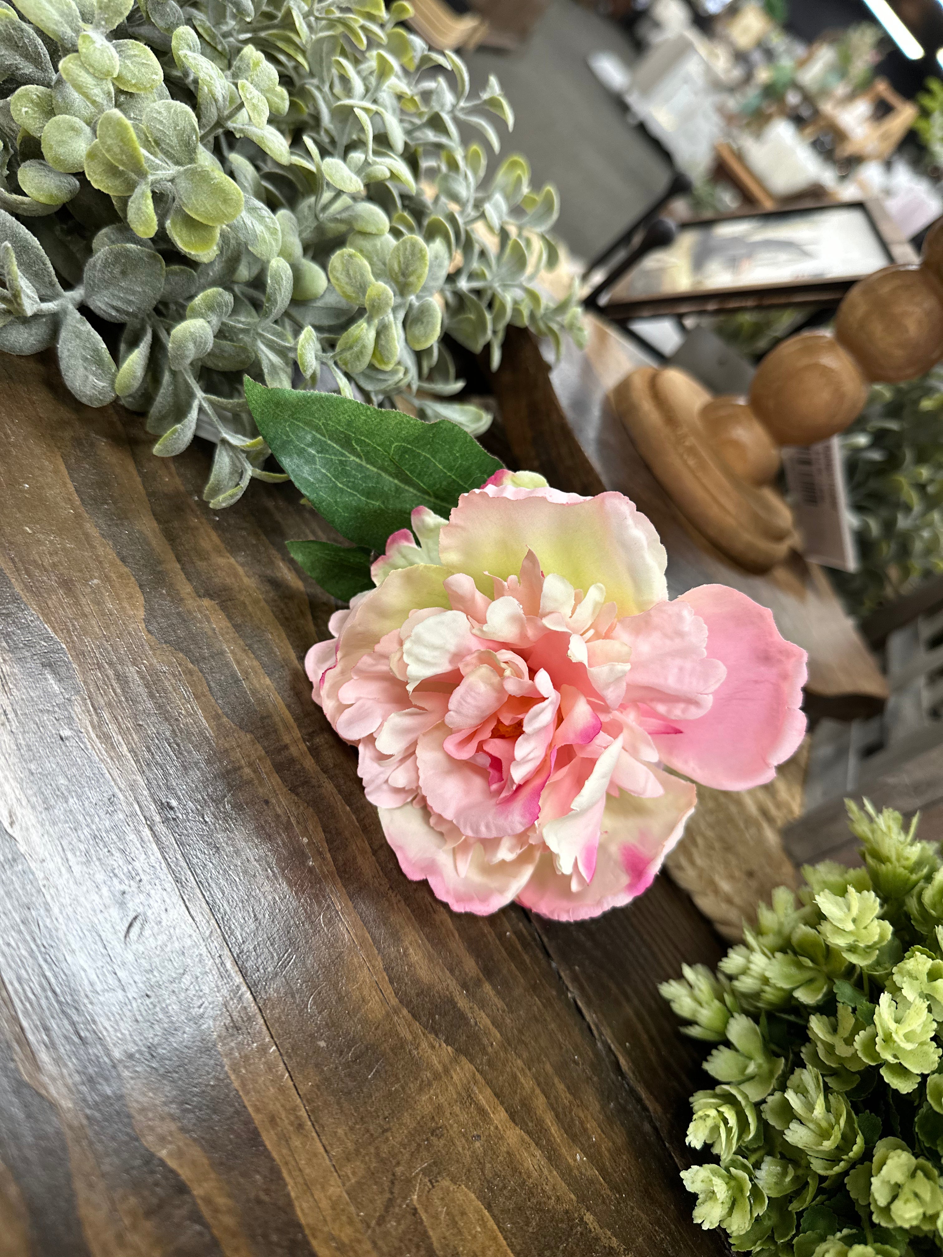 Peony Stem