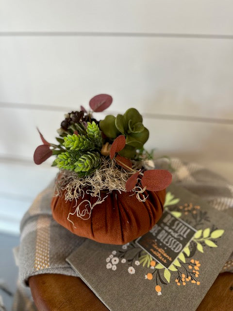 Succulent pumpkins