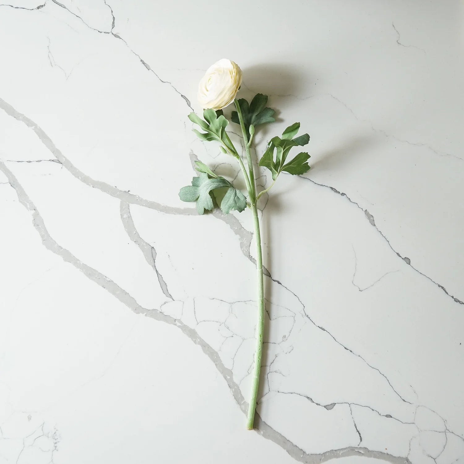 Real Touch Ranunculus Stem