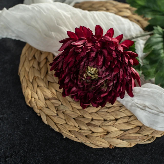 Red Chrysanthemum Stem