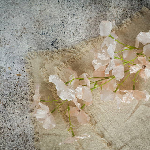 Pale Pink Apple Blosson