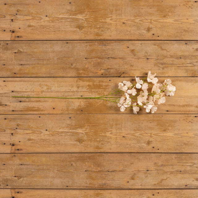 Pale Pink Apple Blosson