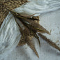 Coffee Bristlegrass Spray