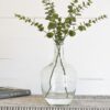 Clear Glass Vases