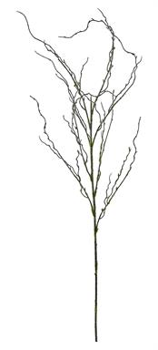 Moss Twig Branch