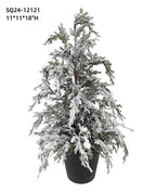 SNOWY PINE TREE IN POT