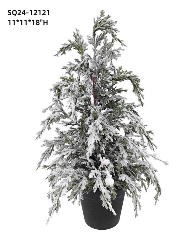 SNOWY PINE TREE IN POT