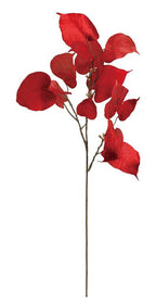 Velvet Leaf Spray