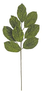Velvet Magnoila Spray