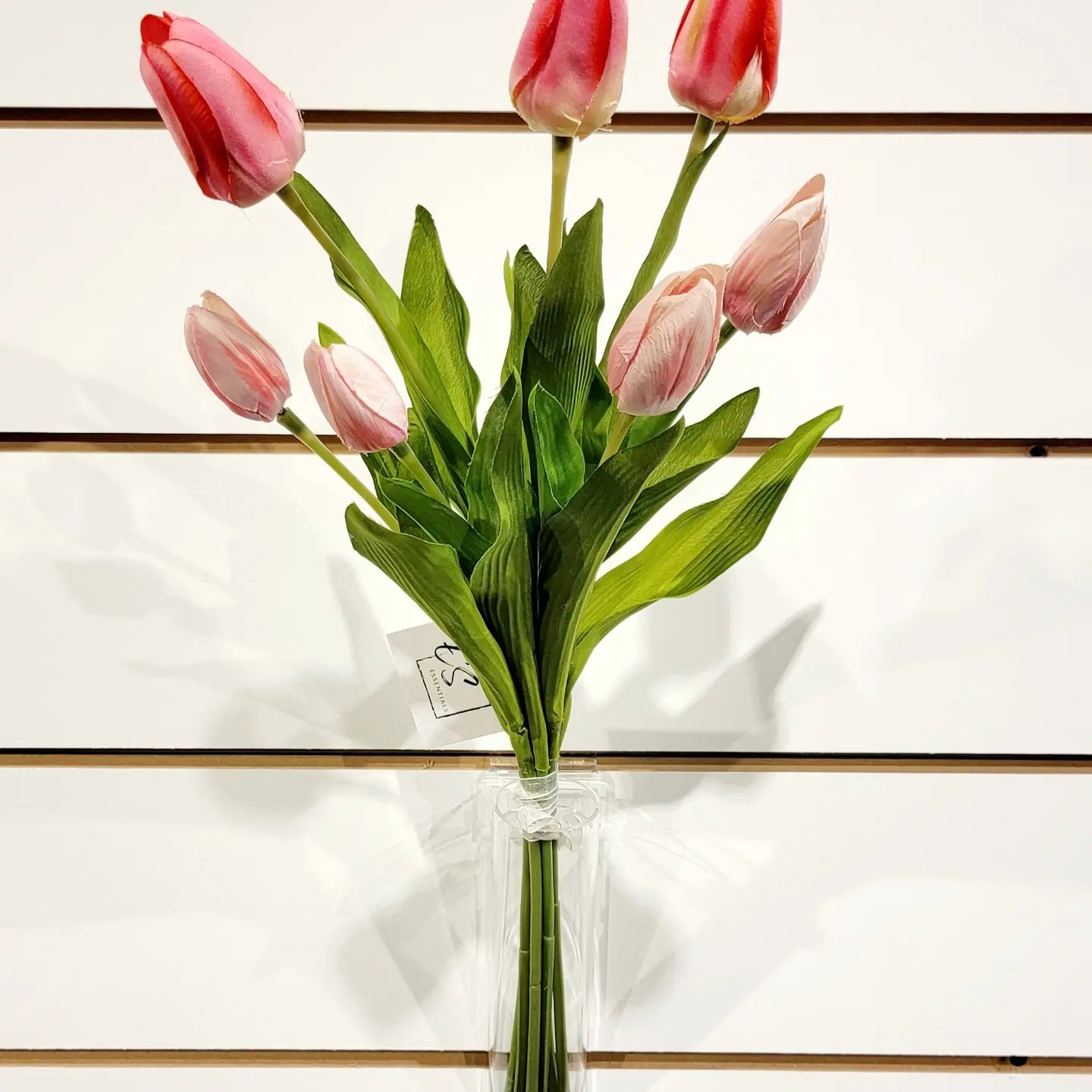 Tulip Bundle