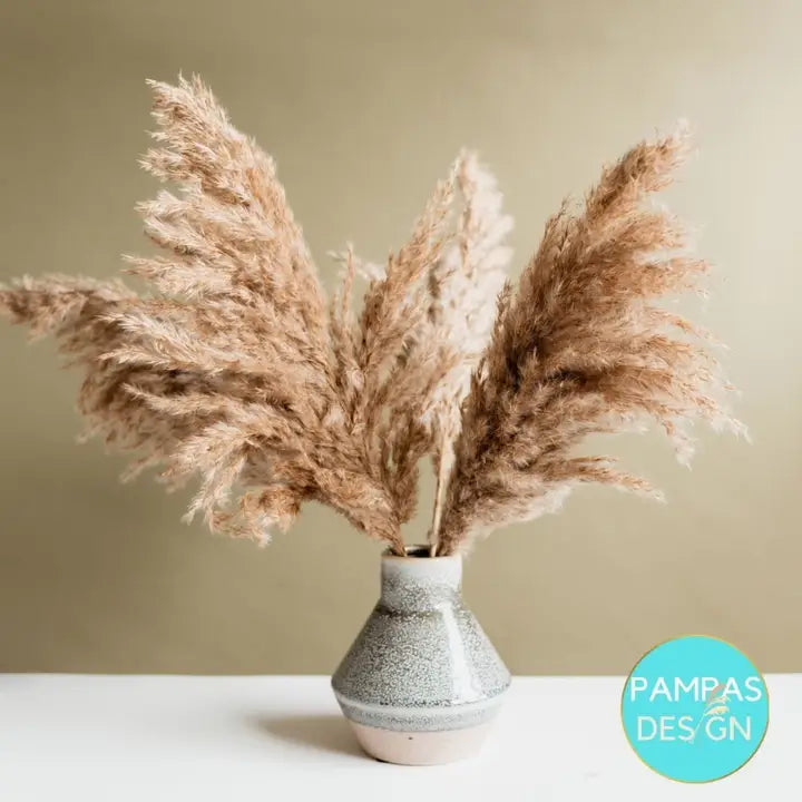 Pampas Grass