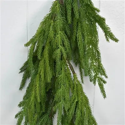 Natural Touch Norfolk Pine Garland