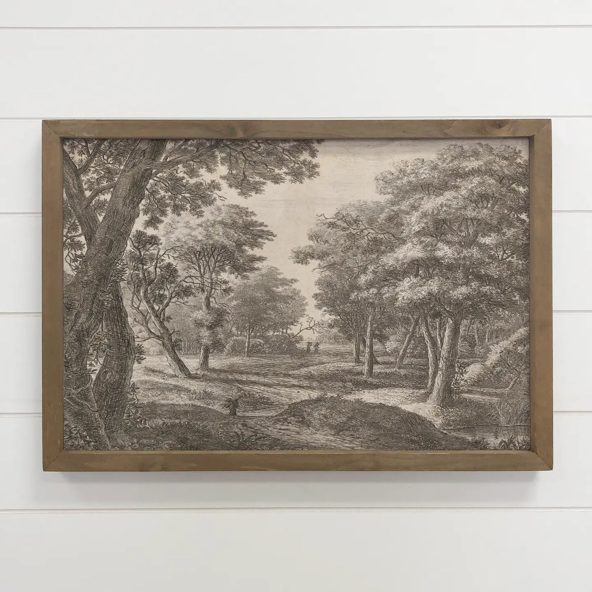 Out of the Woods - Landscape
