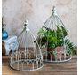 French Blue Plant Cages