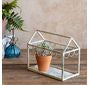 French Blue Plant Displayer