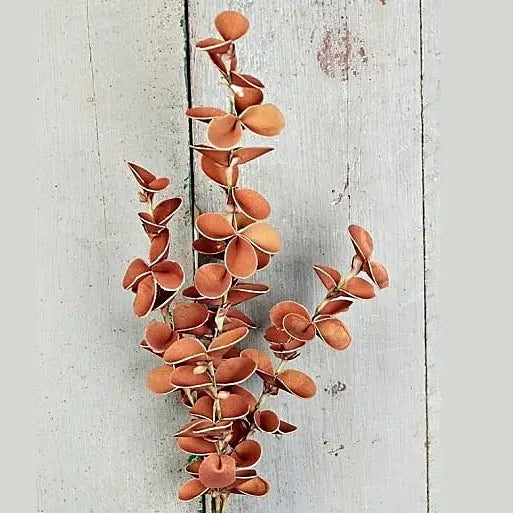 Fall Snapdragon Spray