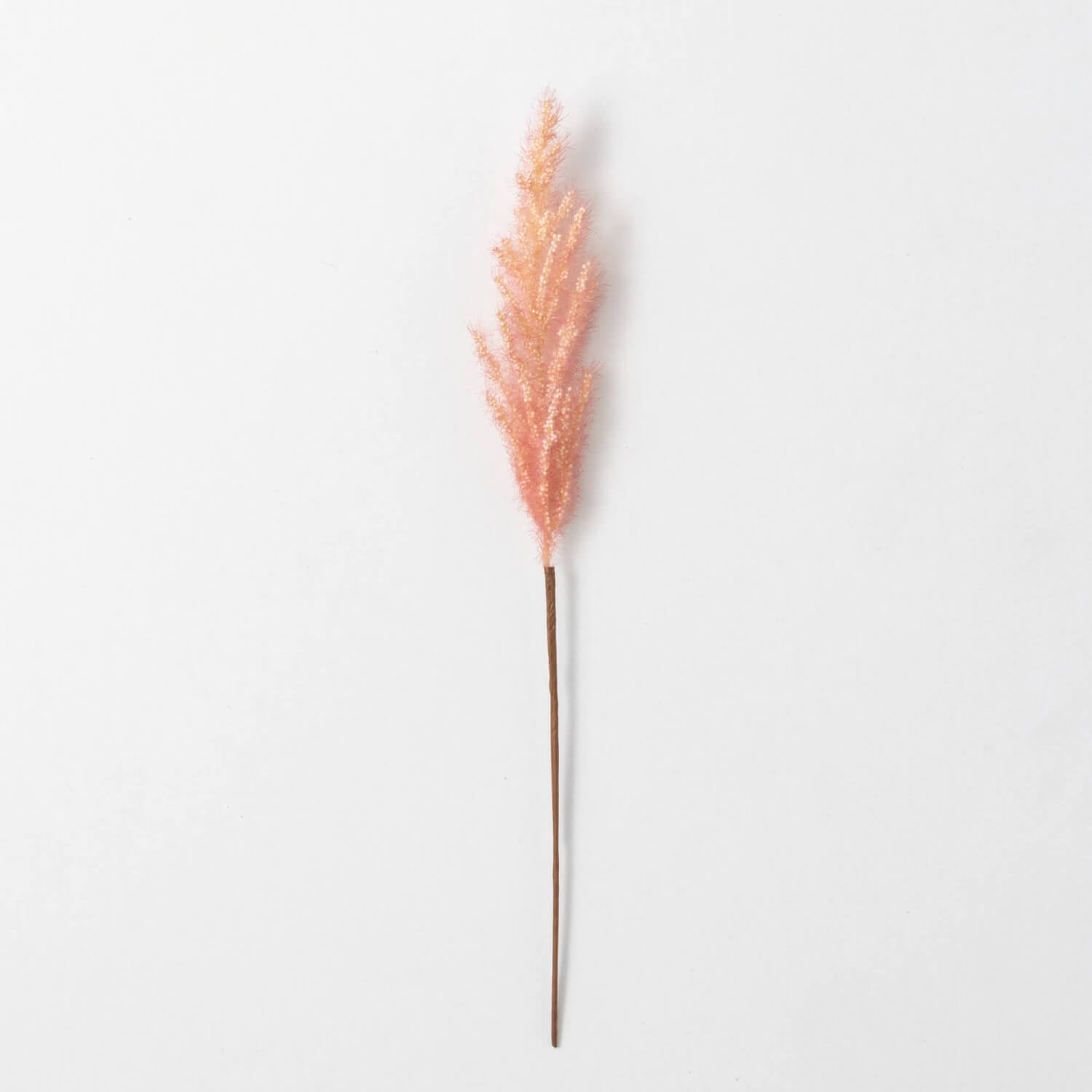 Dried Salmon Peach Plume