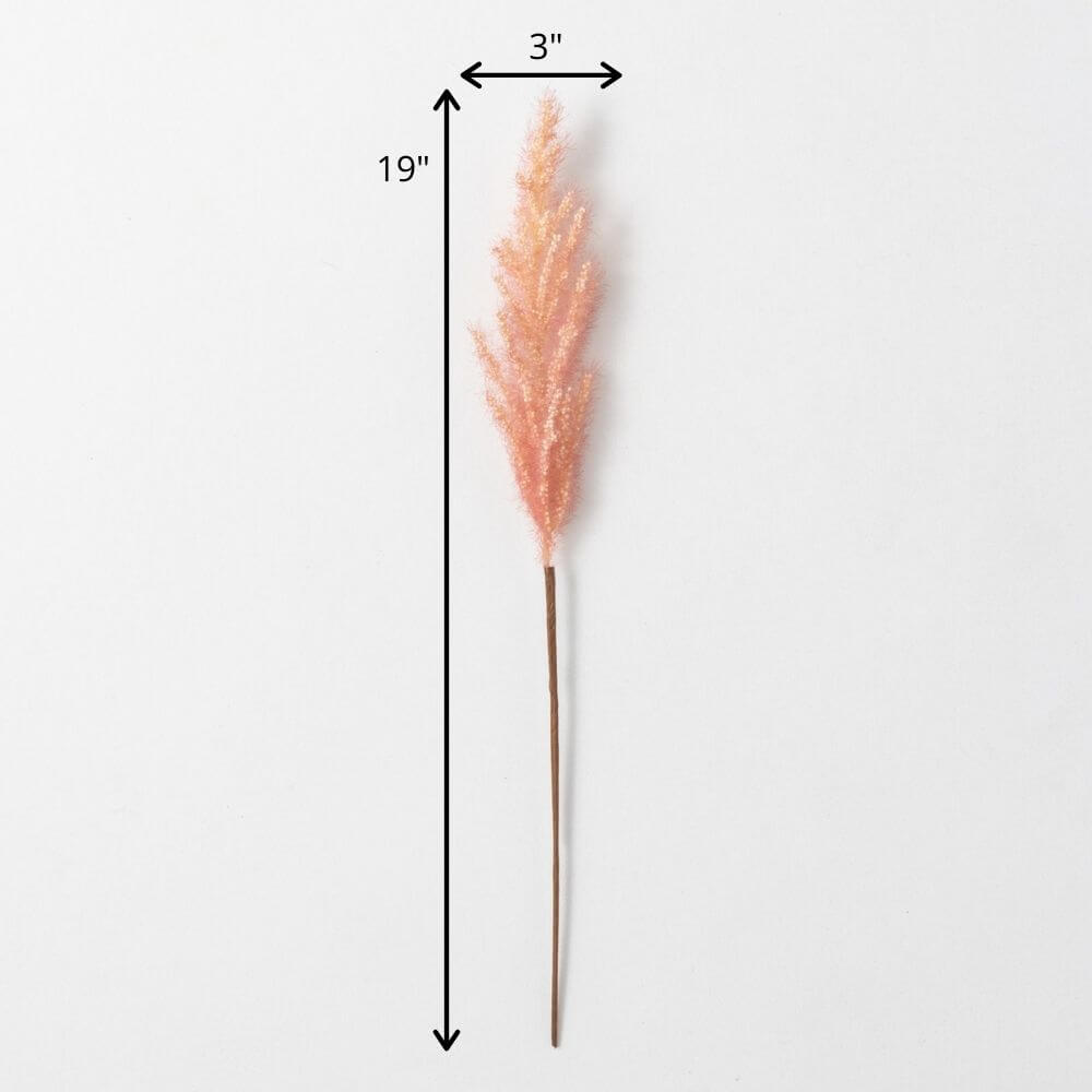 Dried Salmon Peach Plume