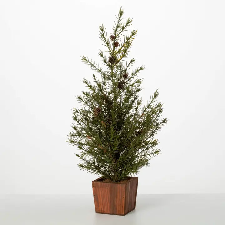 Potted Cedar Pinecone Tree