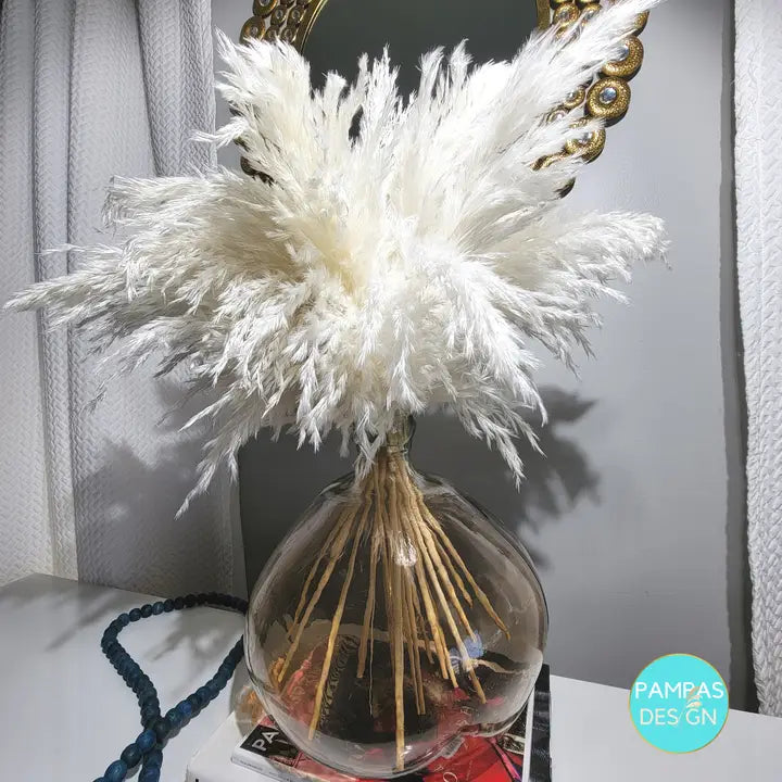 Pampas Grass