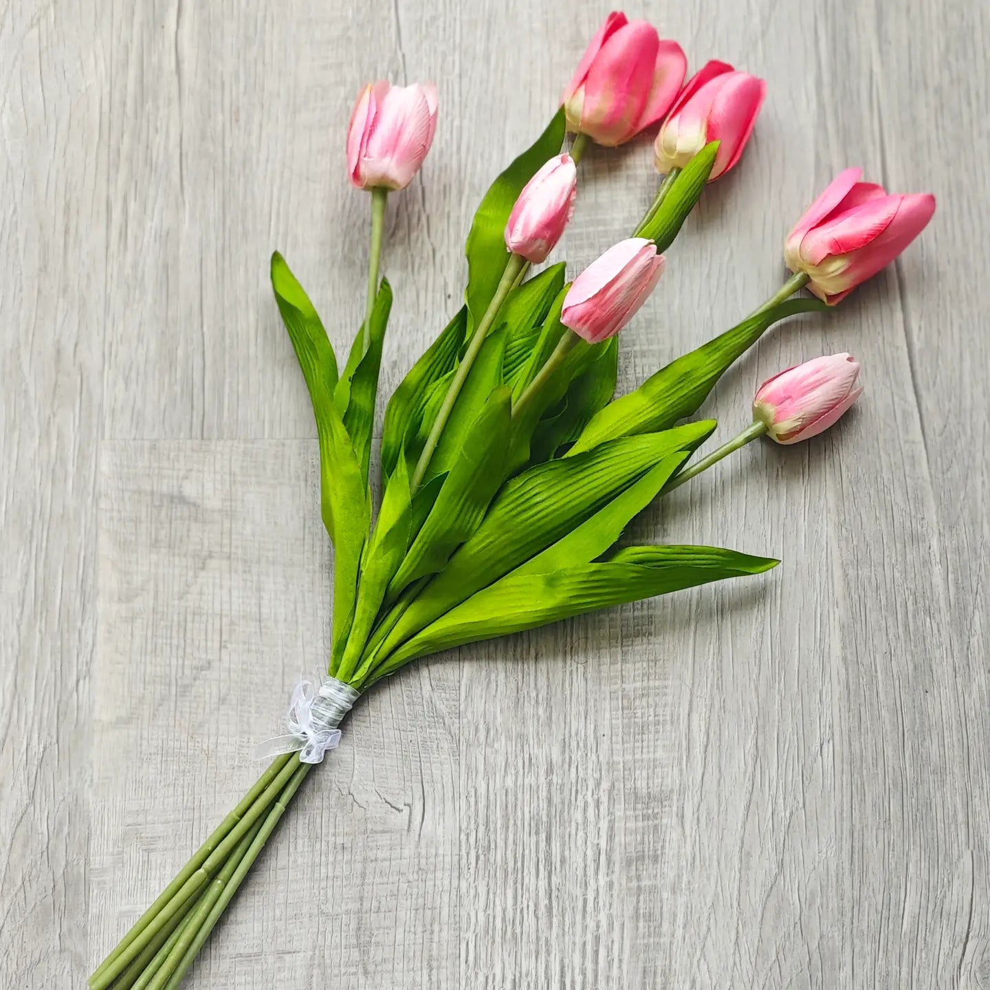 Tulip Bundle