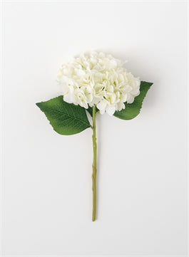 Hydrangea Stems