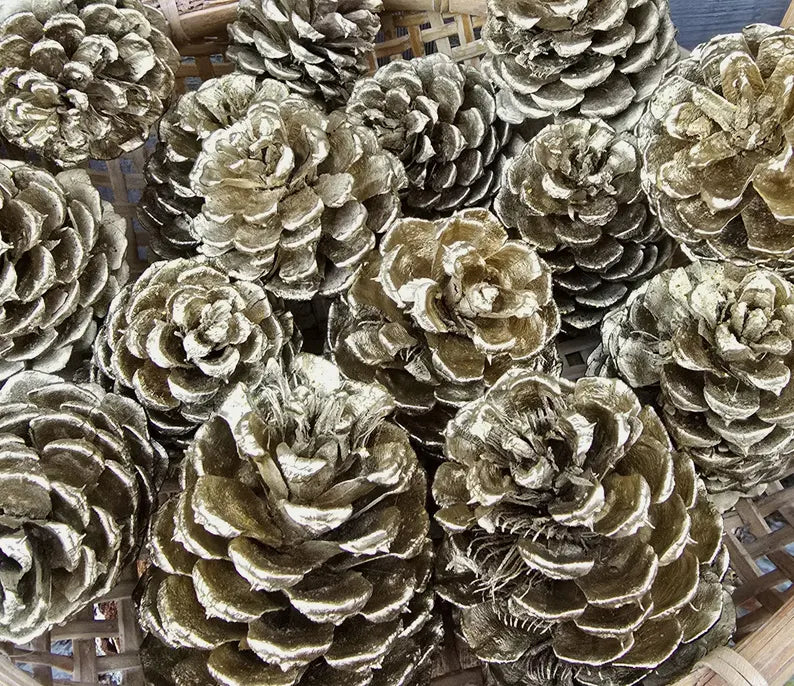 Bag of Gold Pinecones