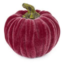 Velvet Pumpkins