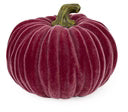 Velvet Pumpkins