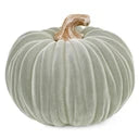 Velvet Pumpkins