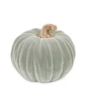 Velvet Pumpkins