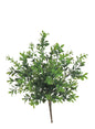 Boxwood Plant Pick