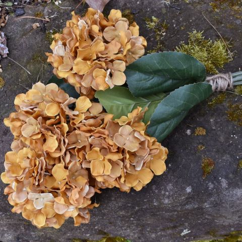 Hydrangea Stem with Leaf