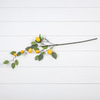 Lemon Spray