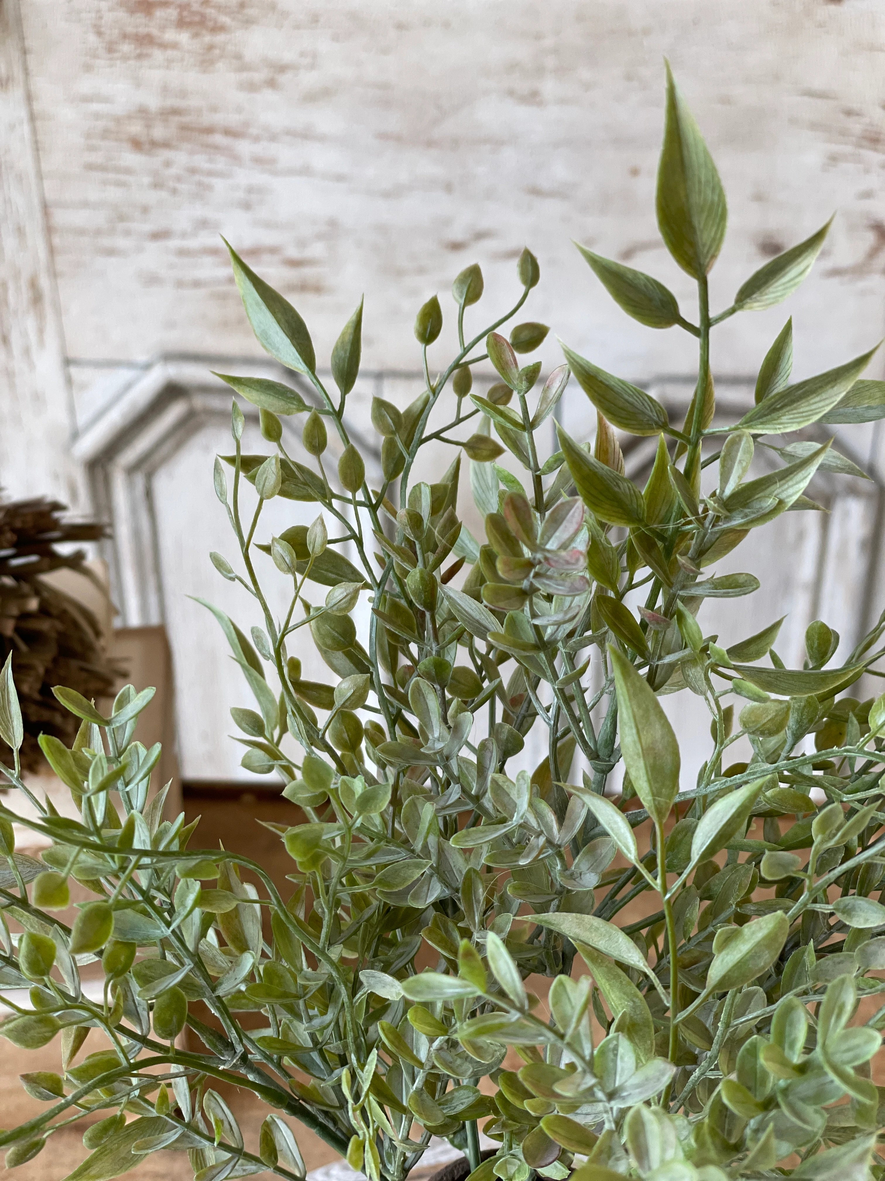 Mixed Sage collection
