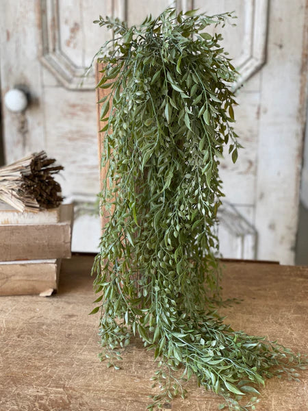 Mixed Sage collection