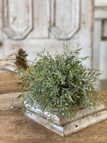 Mixed Sage collection
