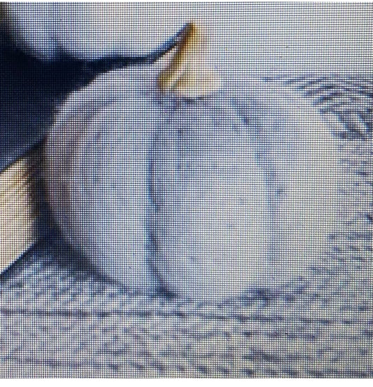 Wool Pumpkins