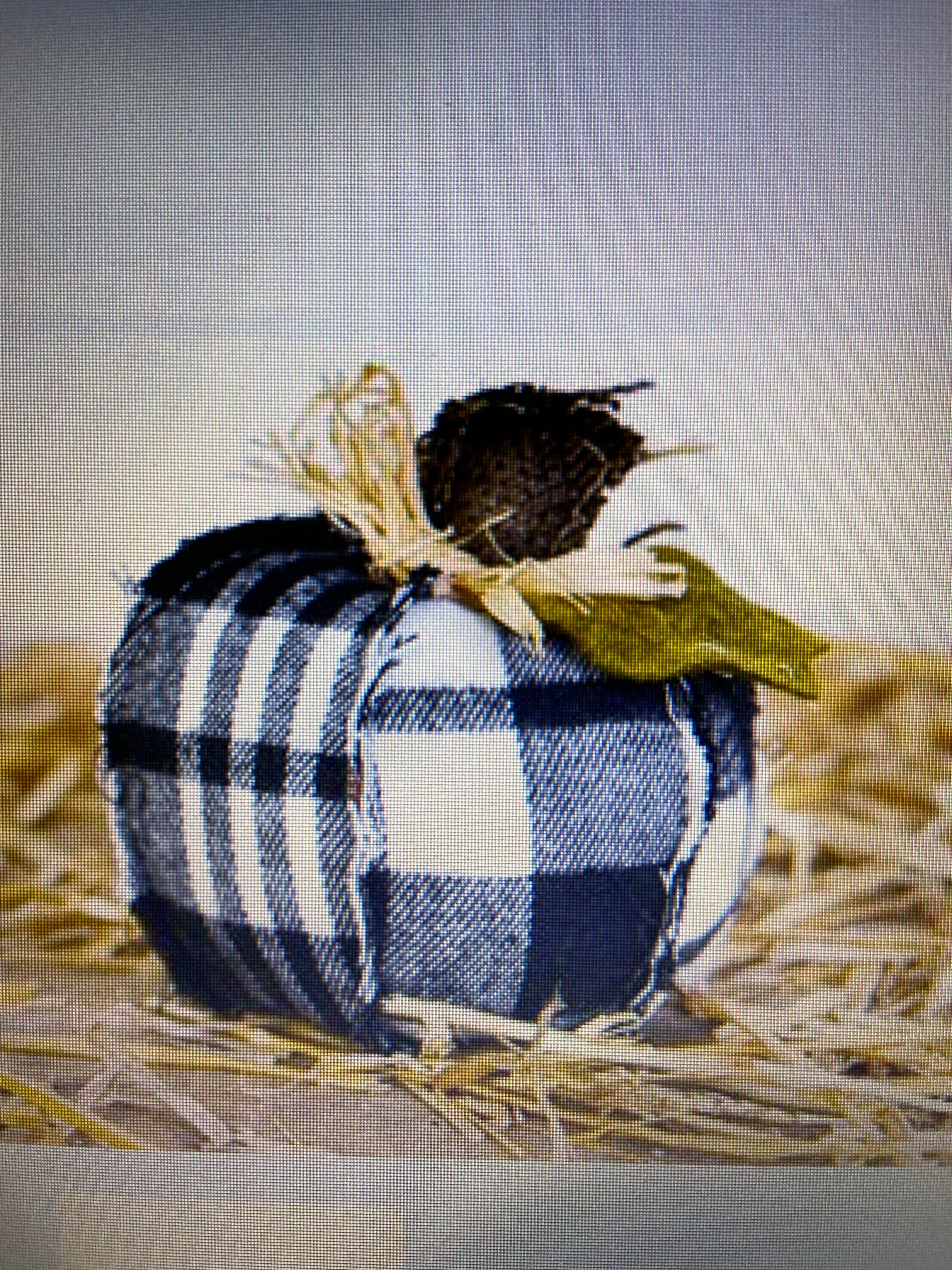 Plaid Gray Pumpkin
