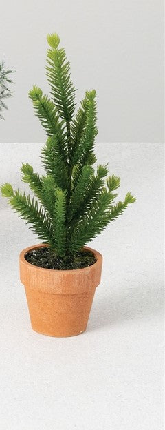 Potted Trees